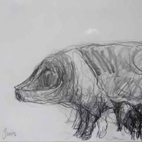 {'en': 'Sow with piglets'}