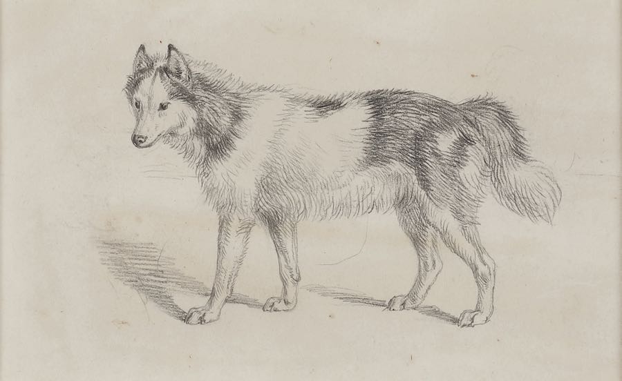Sir Edwin Henry Landseer, R.A.