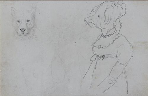 {'en': 'A long-eared goat'}