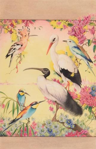 {'en': 'Birds in an exotic landscape'}