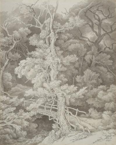 {'en': 'Fordland, Devon'}