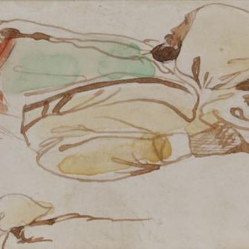 {'en': 'Sleeping Cretans'}