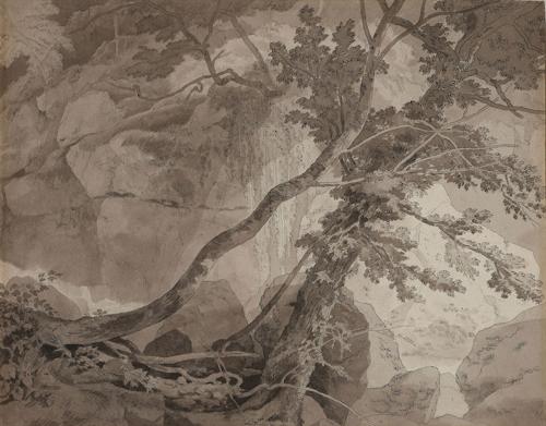 {'en': 'Trees in a rocky landscape, probably Peamore near Exeter, Devon'}