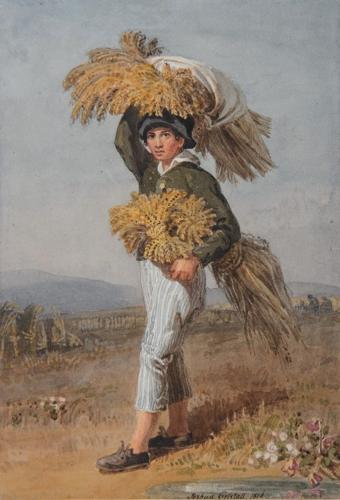 {'en': 'A Sussex gleaner'}