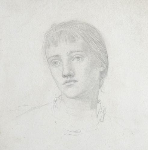 {'en': 'The head of a girl'}