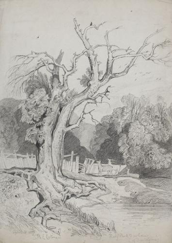 {'en': 'Raby Park, Durham'}