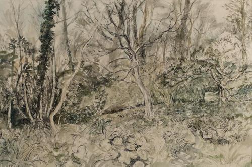 {'en': 'The Old Rectory garden, Litton Cheney, Dorset'}