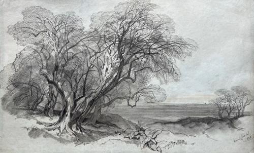 {'en': 'Trees in a landscape, Italy'}