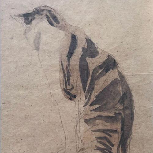 {'en': 'A seated tortoiseshell cat (probably Edgar Quinet)'}