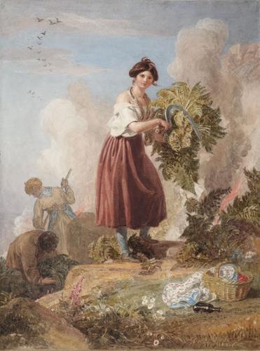 {'en': 'Fern gathering, Coppett Hill, Goodrich, Herefordshire'}