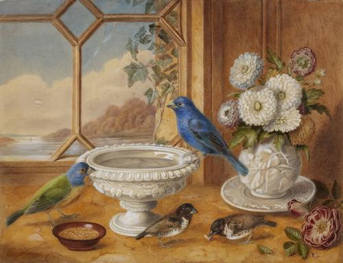 {'en': 'Prize pair of Foreign Birds'}