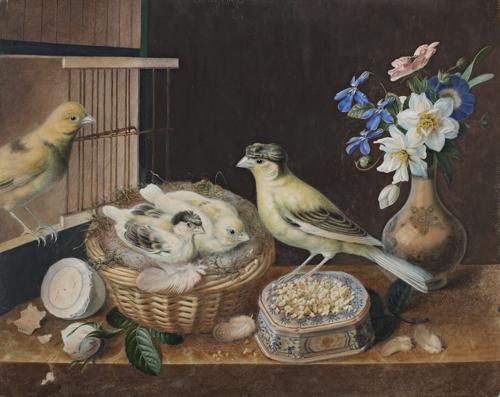 {'en': 'The Nursery'}